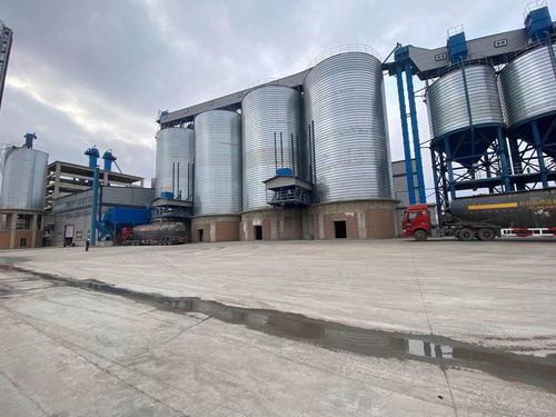 蘭西縣 民營經濟驅動高質量發展，建筑材料銷售成為強勁新動能